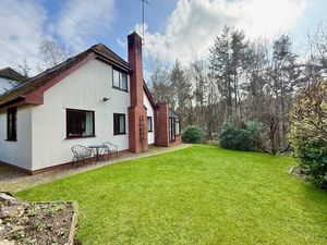 Photo 12- click for photo gallery